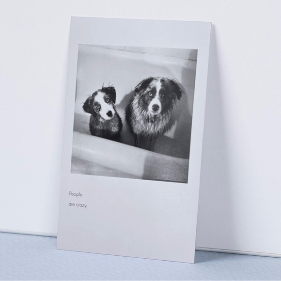 Quote Unquote All Occasions Card by Borealis Press - Picture 3 of 13